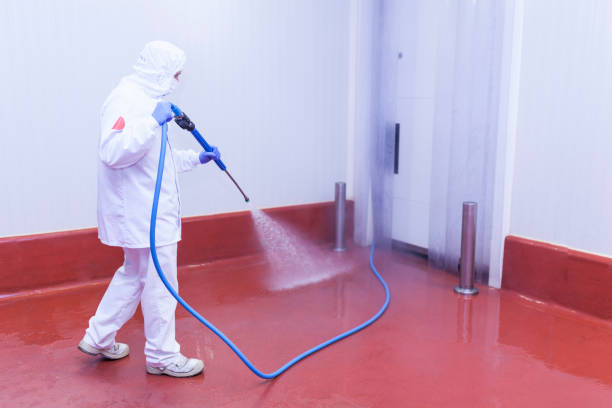 Best Residential Pressure Washing in Shady Shores, TX